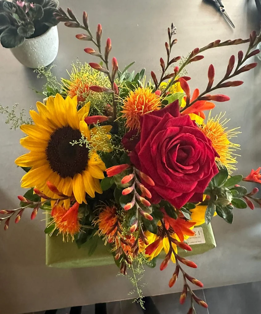 Aebi's Blumenparadies GmbH Langenthal – Partnerflorist BernBlueme.ch