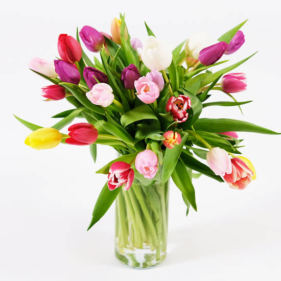 Regenbogen – mehrfarbige Tulpen, Blumenversand Bern